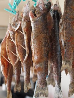 Fish drying