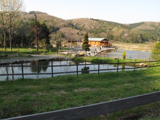 Fishing area
