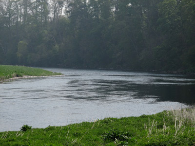 River Tweed