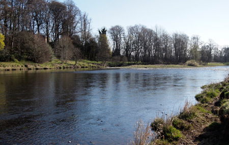 river Tweed