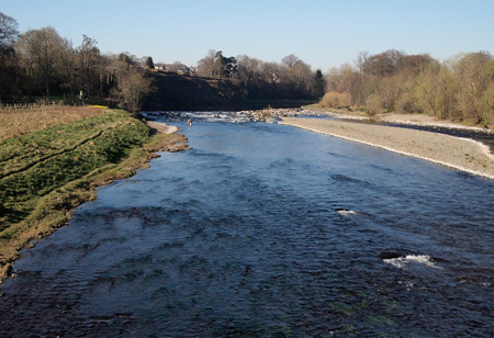 river Tweed