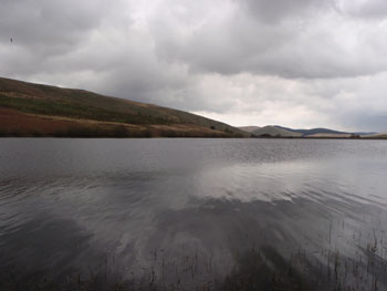 Scotts Lake