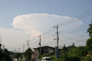 kumo