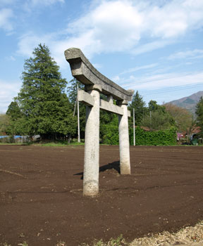 landscape in Amabiki