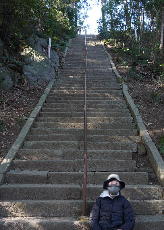 tengu shrine stonesteps
					