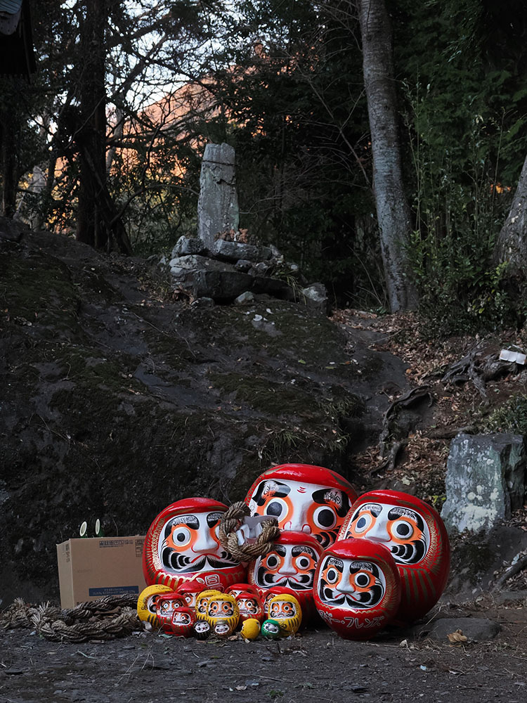 daruma