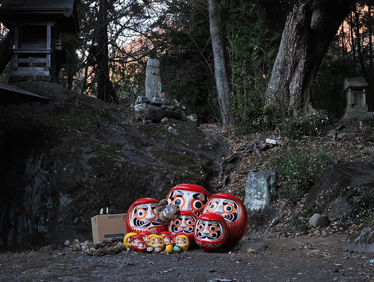 Daruma