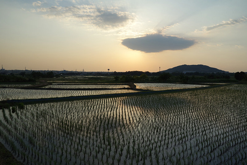 Hojo Tsukuba-city