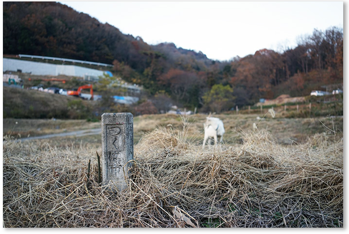 milestone in Tsukuba