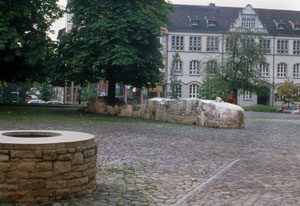 Gelbe Sorte2 in Germany