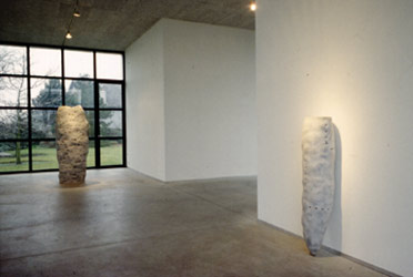 Cocoon at Holland