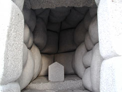 nest 2000