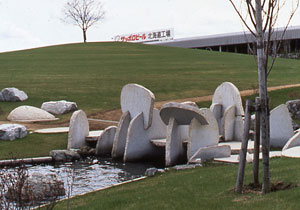 stone chips