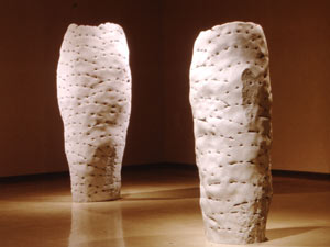cocoon