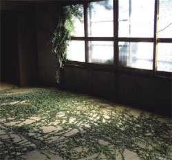 exhibition space