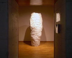 Cocoon
