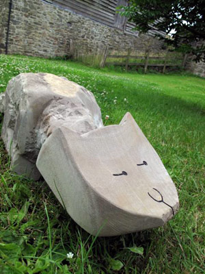 a stray cat