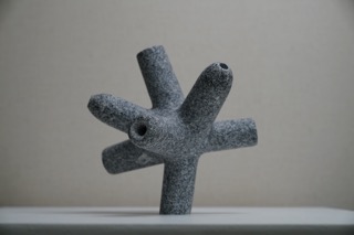 a fossil