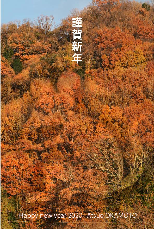 new year greeting