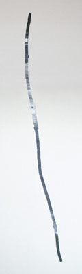 line of the body