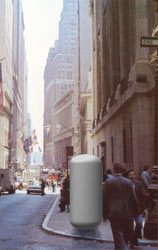 in the NewYork city