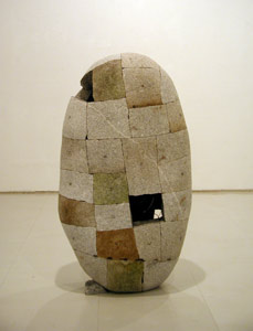 TURTLE1