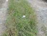 outdoor2