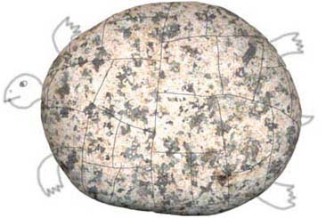 TURTLE STONE