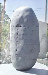 TURTLE2