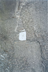 No.21