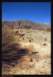 No.17-Oman-3