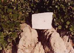Stone in Dalian
