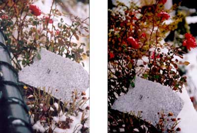 snow in Greece