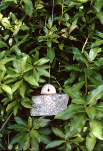 stone-1