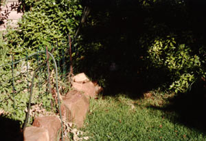 stone-2