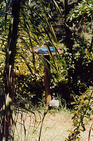 Kenya-3