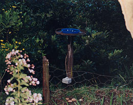 Kenya-1