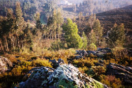 stone of portugal_3
