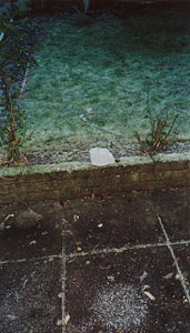 No.38 stone