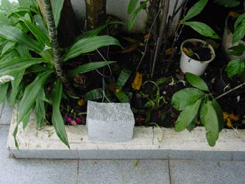Deco gallery2