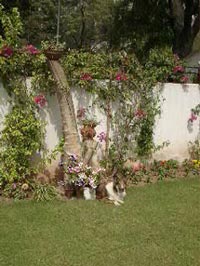 Islamabad1