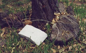 Mexico stone